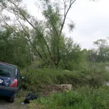 Zobacz zdjęcie: Renault na bobrowej ścieżce