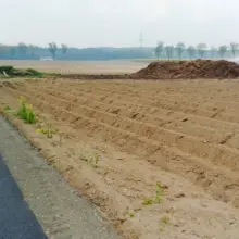 Zobacz zdjęcie: Kupa gnoju straszy przy ścieżce rowerowej