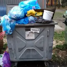Zobacz zdjęcie: Problem z wywozem śmieci w Szczytnicy i Raciborowicach. Gmina odpowiada.