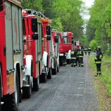 Zobacz zdjęcie: Spektakularne ćwiczenia strażackie „Bory Dolnośląskie 2019”