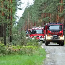 Zobacz zdjęcie: Spektakularne ćwiczenia strażackie „Bory Dolnośląskie 2019”