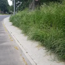 Zobacz zdjęcie: Chodnik w Ławszowej (gmina Osiecznica)