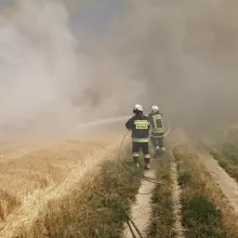 Zobacz zdjęcie: Duży pożar na polach koło Olszanicy. Straż i samoloty gaśnicze w akcji