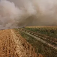 Zobacz zdjęcie: Duży pożar na polach koło Olszanicy. Straż i samoloty gaśnicze w akcji