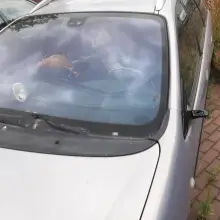 Zobacz zdjęcie: Wrak przy ul. Piastów w Bolesławcu