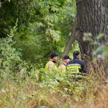 Zobacz zdjęcie: Makabryczne odkrycie na rzece Bóbr