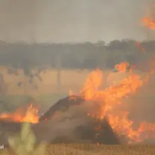 Zobacz zdjęcie: Pożar ciężarówki i słomy na polu koło Łazisk