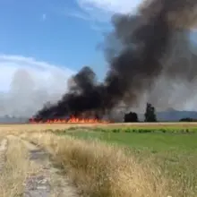 Zobacz zdjęcie: Pożar pola w Żeliszowie