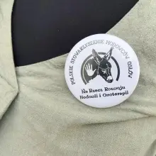 Zobacz zdjęcie: Z osłami podróżują przez Europę, w Świętokrzyskiem chcą założyć farmę