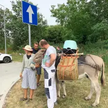 Zobacz zdjęcie: Z osłami podróżują przez Europę, w Świętokrzyskiem chcą założyć farmę