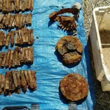 Zobacz zdjęcie: Ponad 4 tys. sztuk amunicji na działce w Kruszynie
