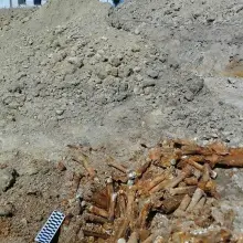 Zobacz zdjęcie: Ponad 4 tys. sztuk amunicji na działce w Kruszynie