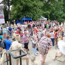 Zobacz zdjęcie: Glina Show 2019