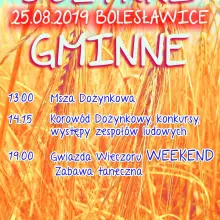 Zobacz zdjęcie: Dożynki gminne