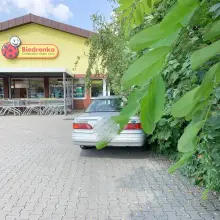 Zobacz zdjęcie: Strasznie zarośnięty parking przed Biedronką. Życie „towarzyskie” kwitnie w krzakach
