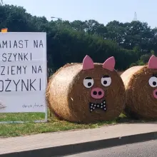 Zobacz zdjęcie: Dekoracje Bolesławic podczas dożynek gminnych 2019