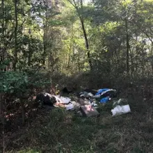 Zobacz zdjęcie: Młodzież posprzątała Piachy