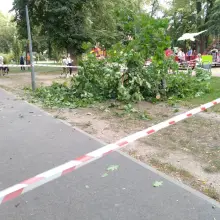 Zobacz zdjęcie: Konar upadł na młodą kobietę w parku