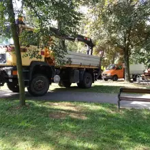 Zobacz zdjęcie: Akcja przycinania i wycinki drzew w parku Bonina