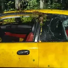 Zobacz zdjęcie: Wypadek pod Gromadką. Auto dachowało, dwie osoby ranne