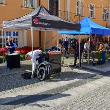 Zobacz zdjęcie: Bolesławianie wzięli udział w akcji „Nasze miasto oddycha”