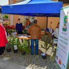 Zobacz zdjęcie: Bolesławianie wzięli udział w akcji „Nasze miasto oddycha”
