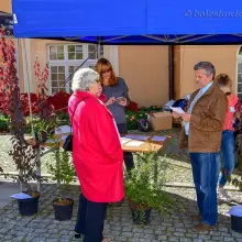 Zobacz zdjęcie: Bolesławianie wzięli udział w akcji „Nasze miasto oddycha”