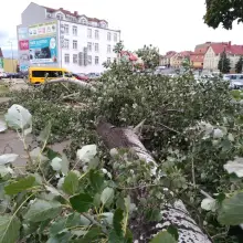 Zobacz zdjęcie: Powalone drzewo przy ul. Łokietka