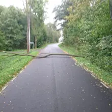 Zobacz zdjęcie: Wichura w powiecie