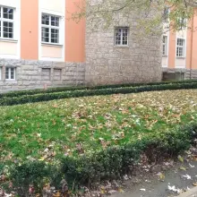 Zobacz zdjęcie: Teren przy bolesławieckich Termach