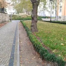 Zobacz zdjęcie: Teren przy bolesławieckich Termach