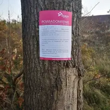 Zobacz zdjęcie: Informacja przytwierdzona do drzewa