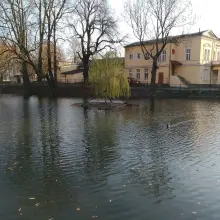 Zobacz zdjęcie: Podwyższony poziom wody w miejskim stawie