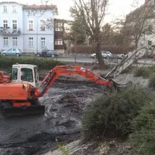 Zobacz zdjęcie: Co ze stawem miejskim przy Bankowej?
