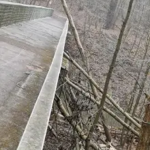 Zobacz zdjęcie: Magistrat interweniuje ws. bobrów