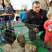 Zobacz zdjęcie: Dzień z pupilem w ZSHiU