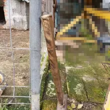 Zobacz zdjęcie: Zwyrodnialec młotkiem zabił psa. Grozi mu do 5 lat więzienia