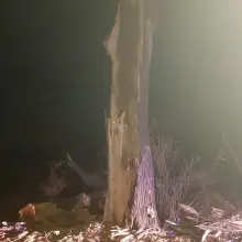 Zobacz zdjęcie: Orkan Sabina: nocne akcje straży