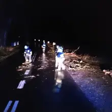 Zobacz zdjęcie: Niż Julia nad powiatem bolesławieckim. Powalone drzewo na drodze Gromadka – Wierzbowa