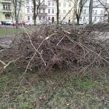 Zobacz zdjęcie: Huragan Julia wyrwał drzewo z korzeniami przy pl. Wolności w Bolesławcu