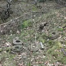 Zobacz zdjęcie: Miny przeciwpancerne znalezione w lesie w powiecie bolesławieckim