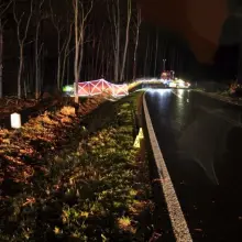 Zobacz zdjęcie: Wypadek między Czerwoną Wodą a Węglińcem (powiat zgorzelecki)