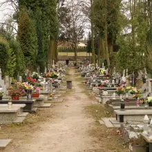 Zobacz zdjęcie: Cmentarz komunalny w Bolesławcu