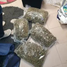 Zobacz zdjęcie: Narkotyki ujawnione przez bolesławiecką policję na posesji Wojciecha W.