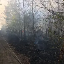 View photo: Fire Service Response in Iwiny (Warta Bolesławiecka Municipality, Bolesławiec County)