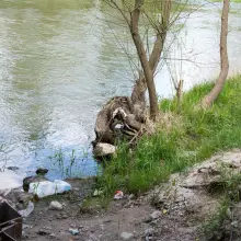 Zobacz zdjęcie: Stan wody w rzecze Bóbr (zdjęcia wykonane 26 kwietnia w Bolesławcu)