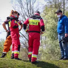 Zobacz zdjęcie: Poszukiwanie 3,5-latka w Nowogrodźcu