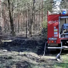 Zobacz zdjęcie: Akcja straży pożarnej koło Świętoszowa (gmina Osiecznica, powiat bolesławiecki)