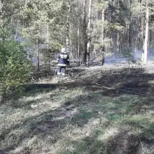Zobacz zdjęcie: Akcja straży pożarnej koło Świętoszowa (gmina Osiecznica, powiat bolesławiecki)