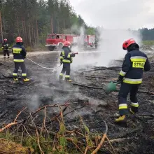 Zobacz zdjęcie: Akcja straży pożarnej w miejscowości Krzyżowa (gmina Gromadka, powiat bolesławiecki)